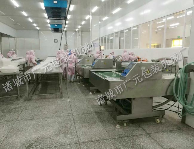 1000型全自动真空包装机